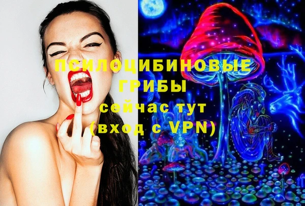 МДПВ Краснослободск