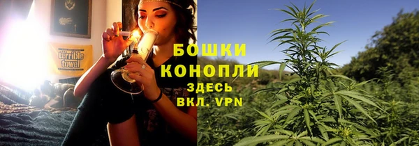 МДПВ Краснослободск