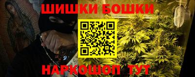 шишки Апшеронск