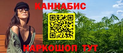 шишки Апшеронск