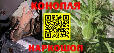 шишки Апшеронск