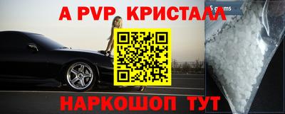 шишки Апшеронск