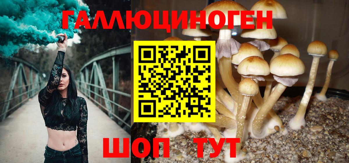 Пушкино  Галлюциногенные грибы мицелий  Вход с VPN 